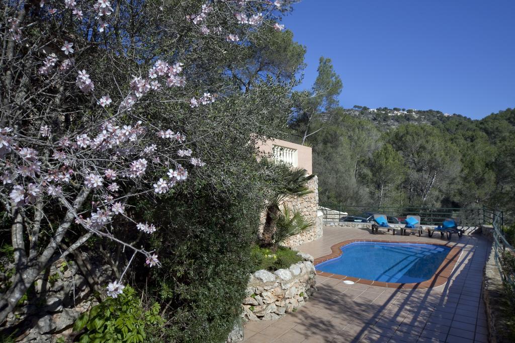 Villa Magdalena Calvia Dış mekan fotoğraf